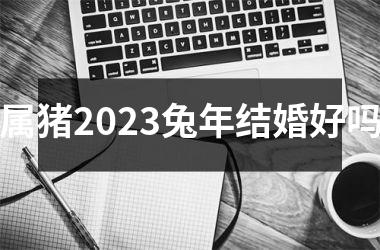 属猪2025兔年结婚好吗