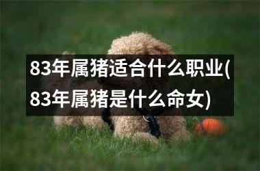 <h3>83年属猪适合什么职业(83年属猪是什么命女)
