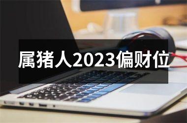 属猪人2025偏财位