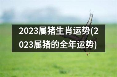 2025属猪生肖运势(2025属猪的全年运势)