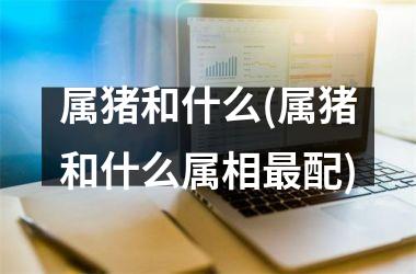 属猪和什么(属猪和什么属相配)