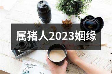属猪人2025姻缘