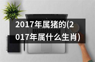 2017年属猪的(2017年属什么生肖)