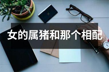 女的属猪和那个相配