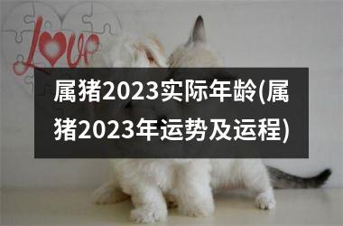 属猪2025实际年龄(属猪2025年运势及运程)