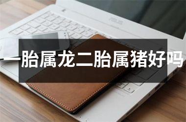 一胎属龙二胎属猪好吗