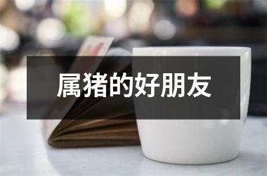 属猪的好朋友