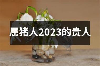 <h3>属猪人2025的贵人