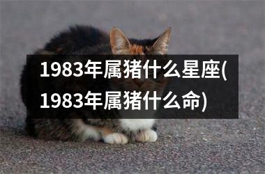 1983年属猪什么星座(1983年属猪什么命)