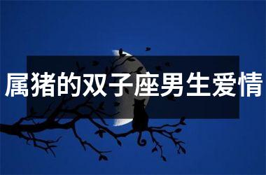 属猪的双子座男生爱情
