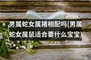 男属蛇女属猪相配吗(男属蛇女属鼠适合要什么宝宝)