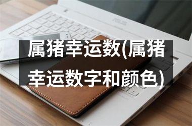 属猪幸运数(属猪幸运数字和颜色)
