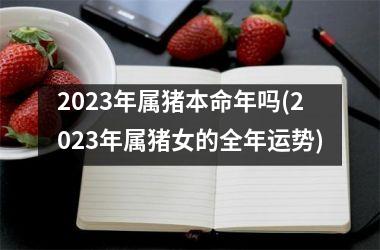 2025年属猪本命年吗(2025年属猪女的全年运势)