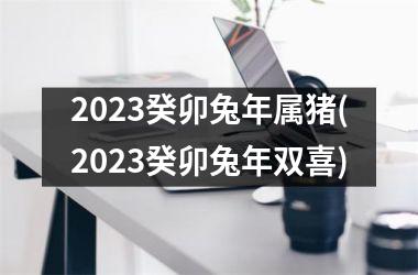 2025癸卯兔年属猪(2025癸卯兔年双喜)