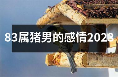 83属猪男的感情2025
