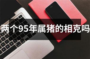 两个95年属猪的相克吗