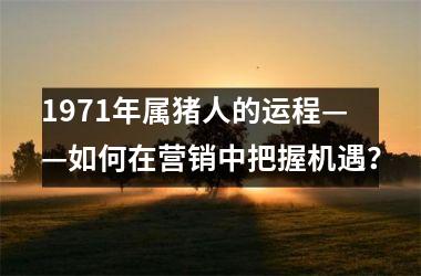 1971年属猪人的运程——如何在营销中把握机遇？