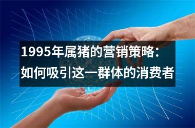 1995年属猪的营销策略：如何吸引这一群体的消费者