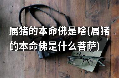 属猪的本命佛是啥(属猪的本命佛是什么菩萨)