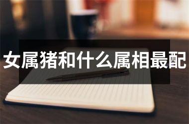 女属猪和什么属相配