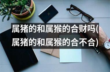 属猪的和属猴的合财吗(属猪的和属猴的合不合)
