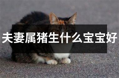 夫妻属猪生什么宝宝好