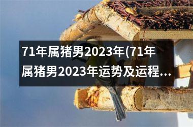 <h3>71年属猪男2025年(71年属猪男2025年运势及运程每月运程)