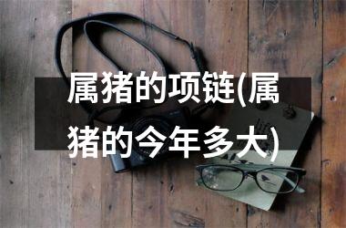 属猪的项链(属猪的今年多大)