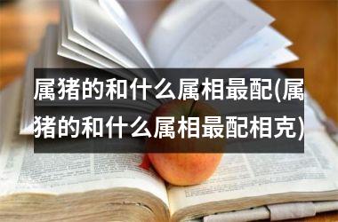 属猪的和什么属相配(属猪的和什么属相配相克)