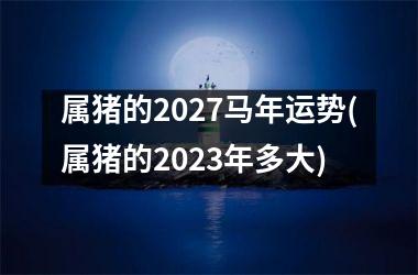 <h3>属猪的2027马年运势(属猪的2025年多大)