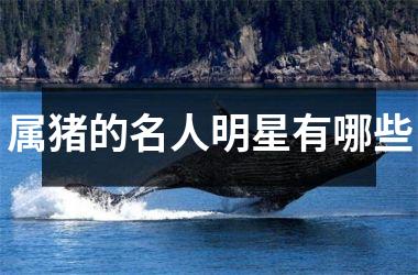 <h3>属猪的名人明星有哪些