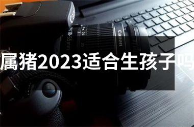 属猪2025适合生孩子吗