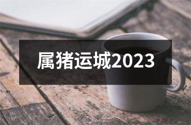 属猪运城2025
