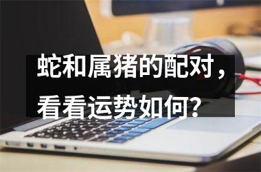 蛇和属猪的配对，看看运势如何？