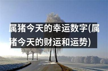 属猪今天的幸运数字(属猪今天的财运和运势)