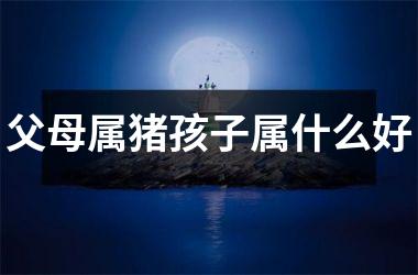 父母属猪孩子属什么好