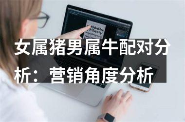 女属猪男属牛配对分析：营销角度分析