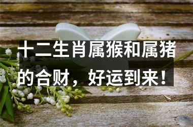 十二生肖属猴和属猪的合财，好运到来！