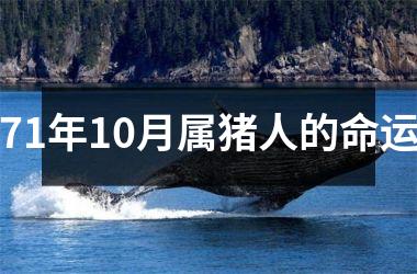 71年10月属猪人的命运