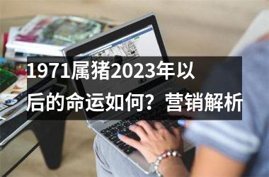 1971属猪2025年以后的命运如何？营销解析