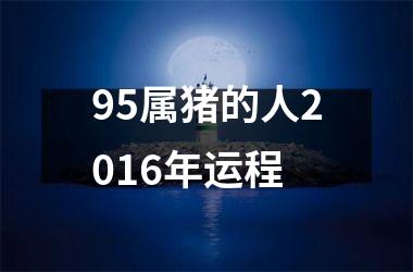 95属猪的人2016年运程