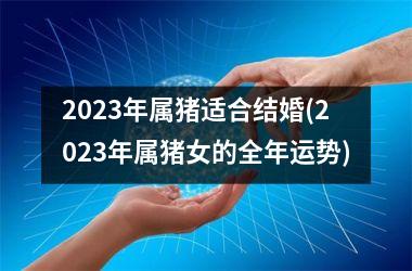 2025年属猪适合结婚(2025年属猪女的全年运势)