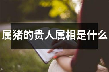 属猪的贵人属相是什么