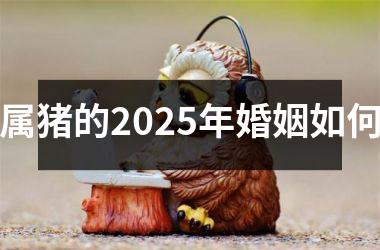 属猪的2025年婚姻如何