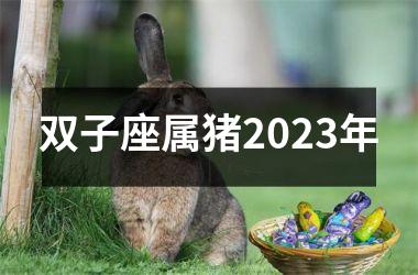 双子座属猪2025年