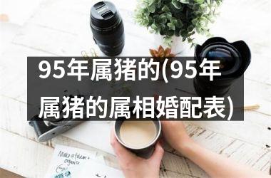 95年属猪的(95年属猪的属相婚配表)