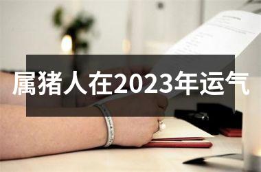 属猪人在2025年运气