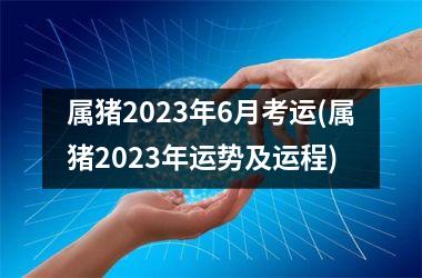 属猪2025年6月考运(属猪2025年运势及运程)