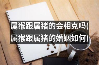 属猴跟属猪的会相克吗(属猴跟属猪的婚姻如何)