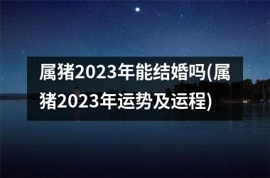属猪2025年能结婚吗(属猪2025年运势及运程)